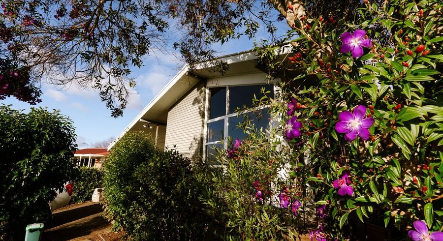  at 6 Magenta Place, Dinsdale, Hamilton, Waikato