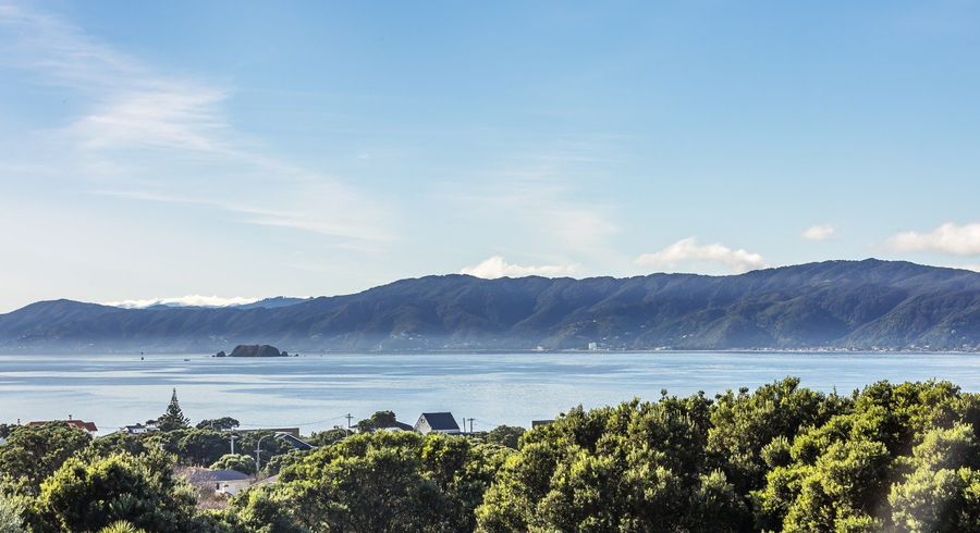  at 74 Falkirk Avenue, Seatoun, Wellington, Wellington