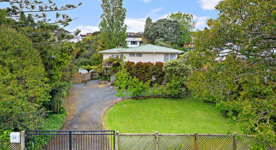  at 54 Whitney Street, New Windsor, Auckland City, Auckland