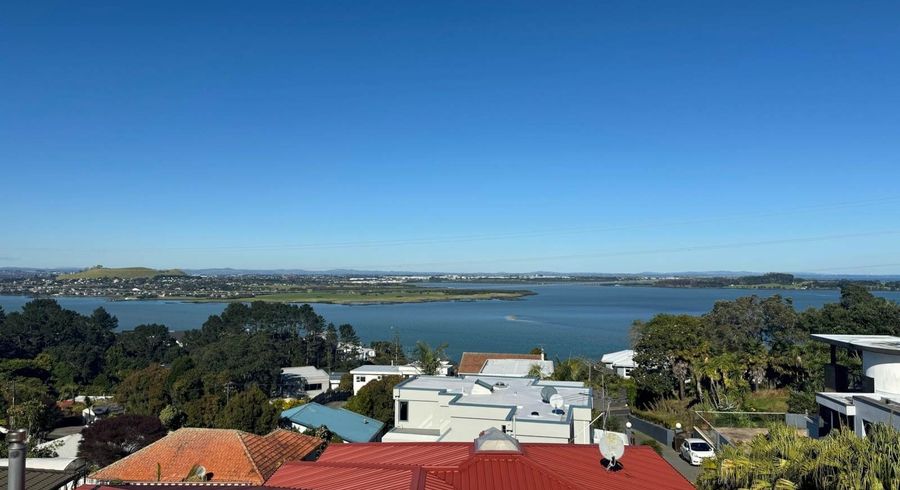  at 316A Hillsborough Road, Hillsborough, Auckland City, Auckland