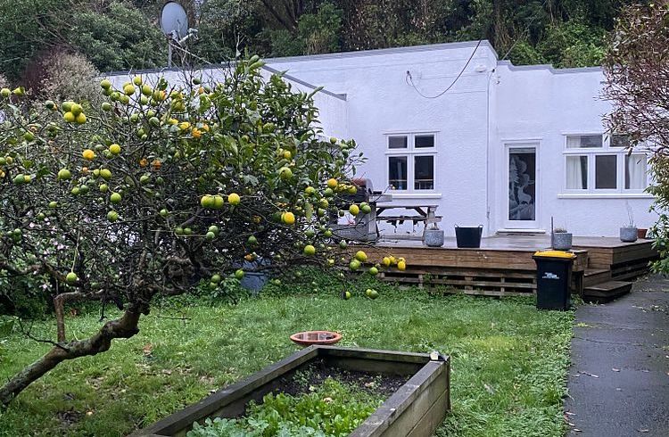  at 35 Melrose Rd, Island Bay, Wellington, Wellington