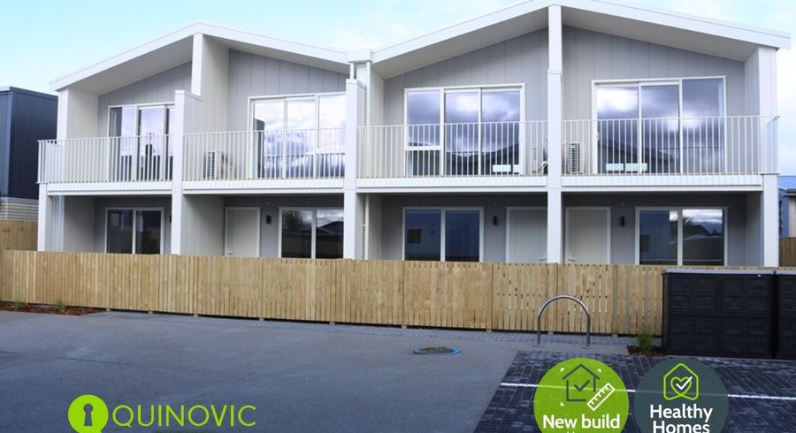  at Hayes Avenue, Gate Pa, Tauranga, Bay Of Plenty