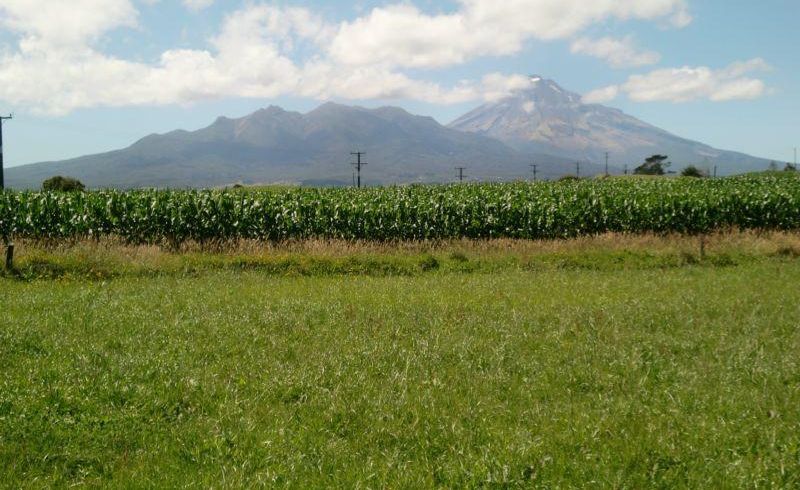  at 43 Leith Road, New Plymouth