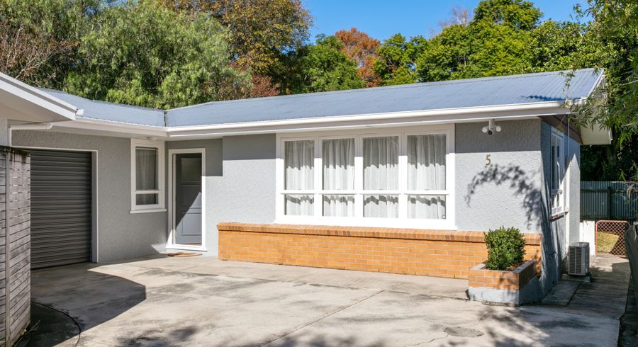  at 5 Domett Street, Whataupoko, Gisborne