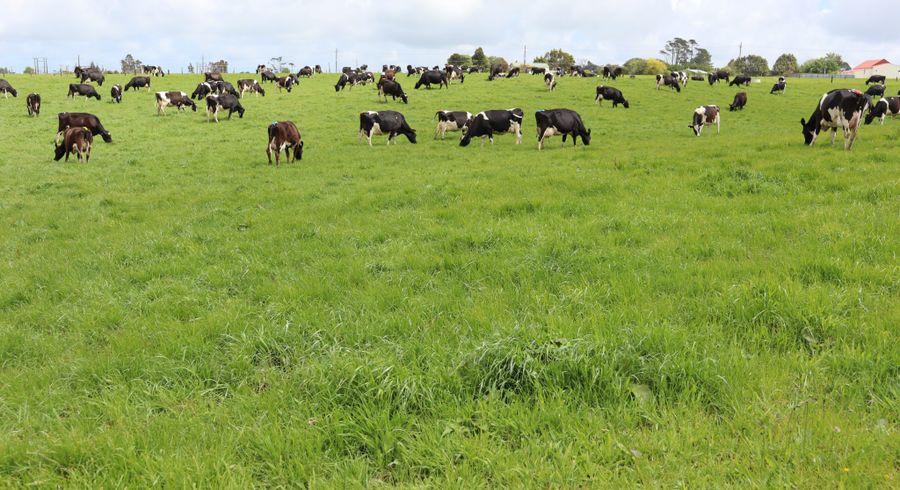  at 496 Opunake Road, Stratford West, Stratford, Taranaki