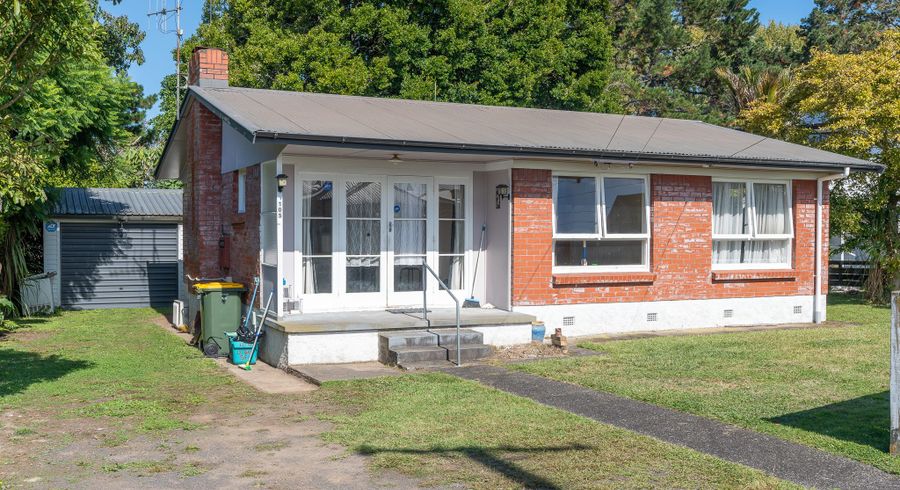  at 105 Rimu Street, Maeroa, Hamilton, Waikato