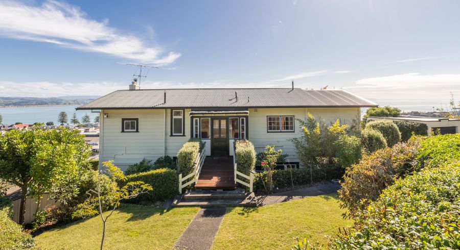  at 14 Milton Terrace, Hospital Hill, Napier, Hawke's Bay