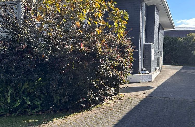  at 407B Devonport Road, Tauranga South, Tauranga, Bay Of Plenty