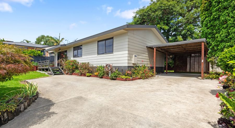  at 40A Princess Road, Bellevue, Tauranga, Bay Of Plenty