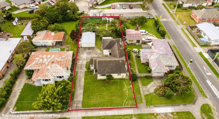  at 54 Geddis Avenue, Maraenui, Napier
