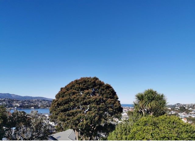  at 3/71 Rakau Road, Hataitai, Wellington, Wellington