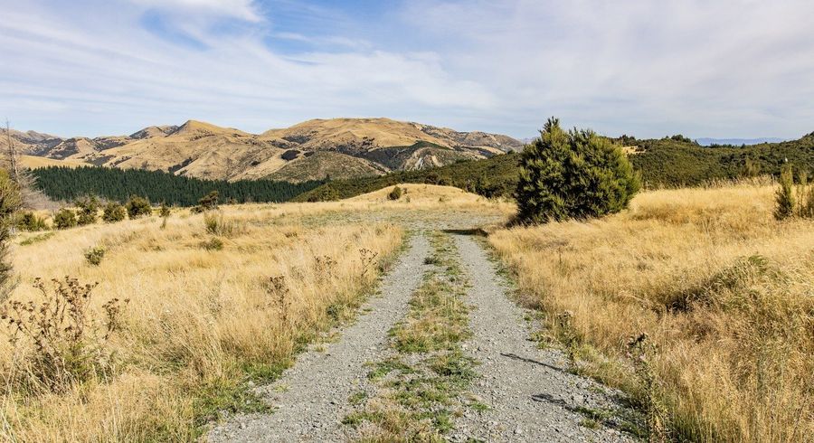  at 253 Mt Lyford Forest Drive, Waiau, Hurunui, Canterbury