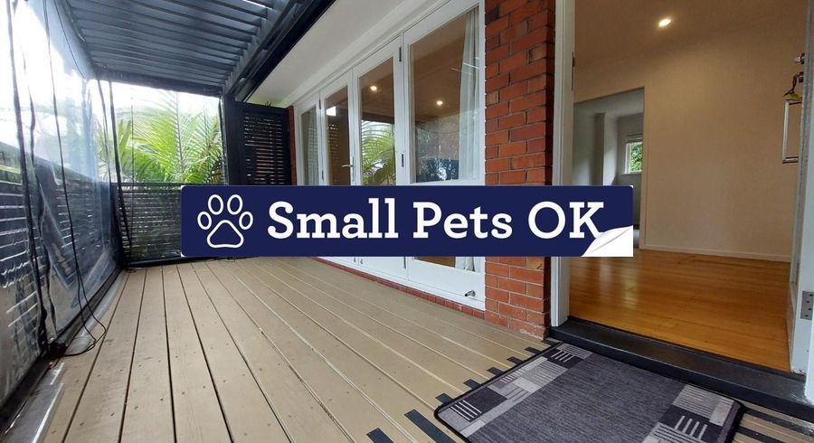  at 1/30B Buckley Road, Epsom, Auckland City, Auckland