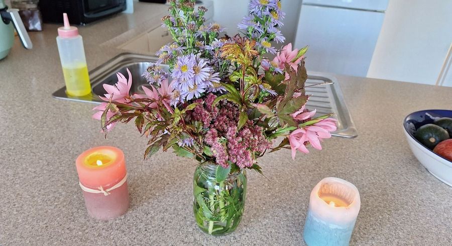  at 19 Sheen Street, Roslyn, Dunedin, Otago