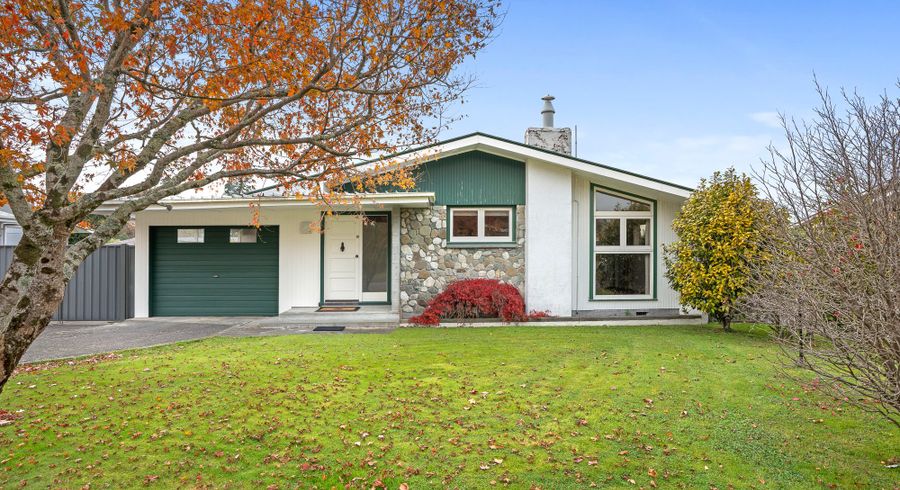  at 20 Plunket Street, Masterton, Masterton, Wellington