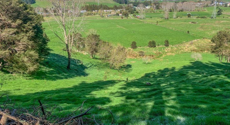  at 133 Neavesville Road, Puriri , Thames-Coromandel, Waikato