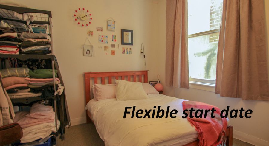  at 23B Colombo Street, Newtown, Wellington, Wellington