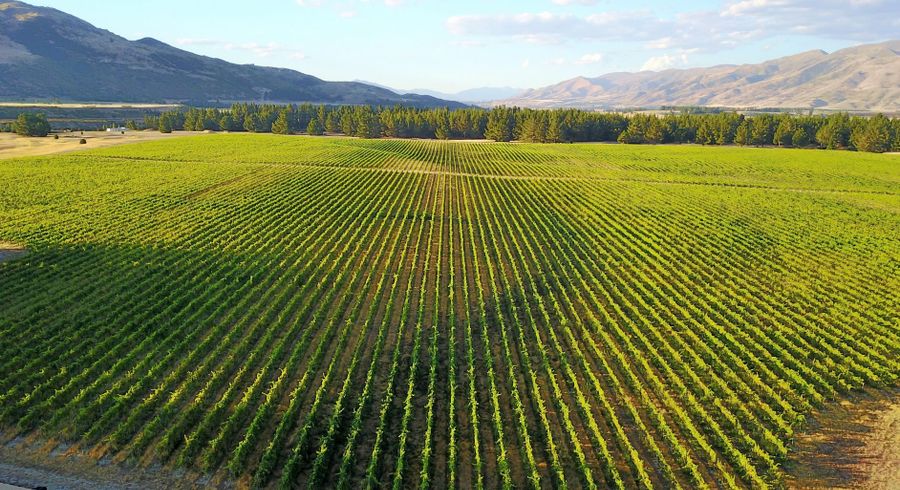  at 351 Maori Point Road, Tarras, Central Otago, Otago