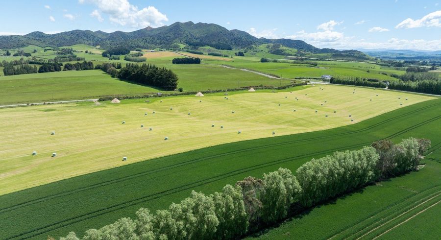  at 205 Reaby Road, Gore, Gore, Southland