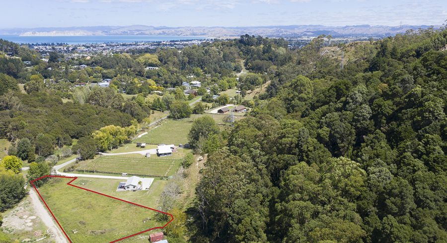  at 58 Dryden Street, Whataupoko, Gisborne