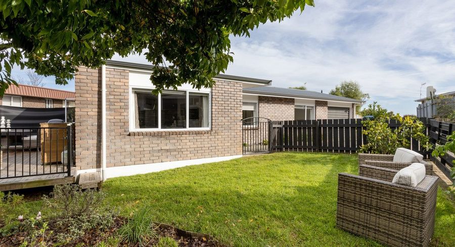  at 333 Maungatapu Road, Maungatapu, Tauranga