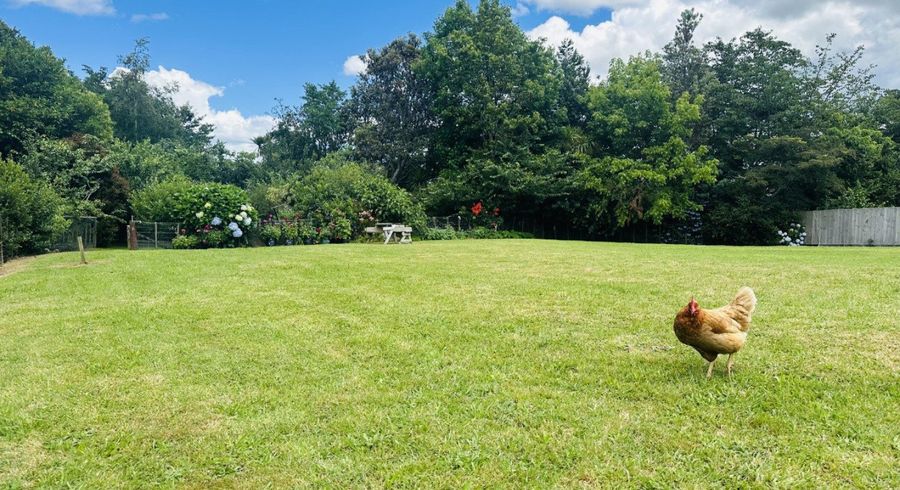  at 10 Richmal Street, Waihi, Hauraki, Waikato