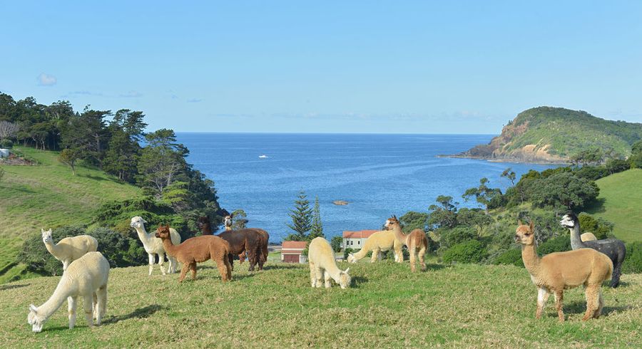  at 48 Waipouri Lane, Whangarei