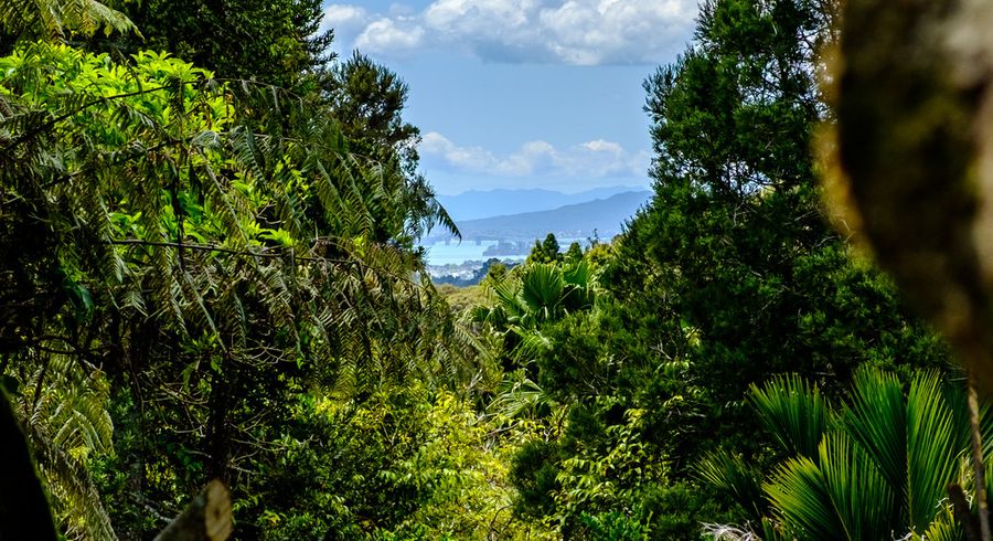  at 118 Opanuku Road, Henderson Valley, Auckland
