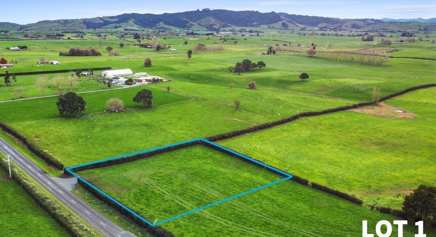  at 356 Mangateparu Loop Road, Morrinsville, Matamata-Piako, Waikato