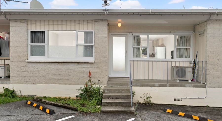  at 3/21 Frost Road, Mount Roskill, Auckland