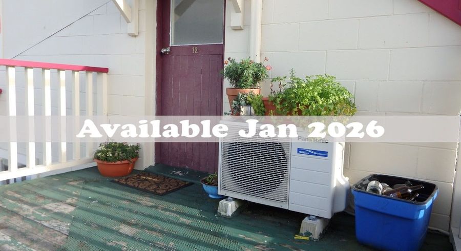  at 12 Titan St, North Dunedin, Dunedin, Otago