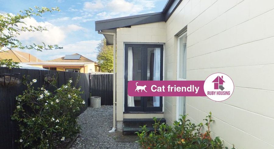  at 6/23 Frederick Street, Waltham, Christchurch City, Canterbury