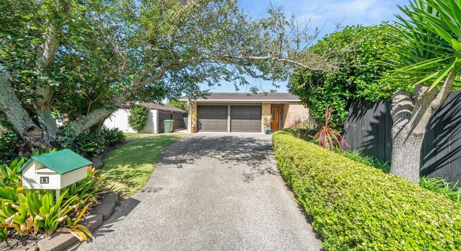  at 11 Donzella Place, Conifer Grove, Papakura, Auckland