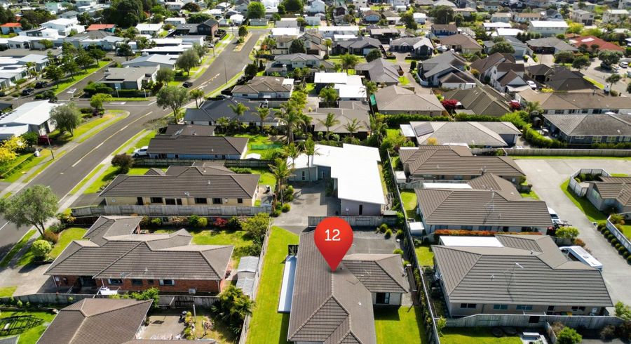  at 12 Thompson Drive, Papamoa Beach, Tauranga, Bay Of Plenty