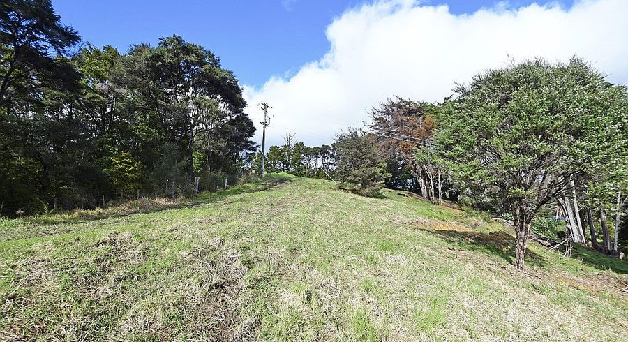  at 99 Birdsall Road, Whangateau