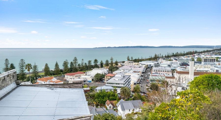  at 12 Brewster Street, Bluff Hill, Napier, Hawke's Bay