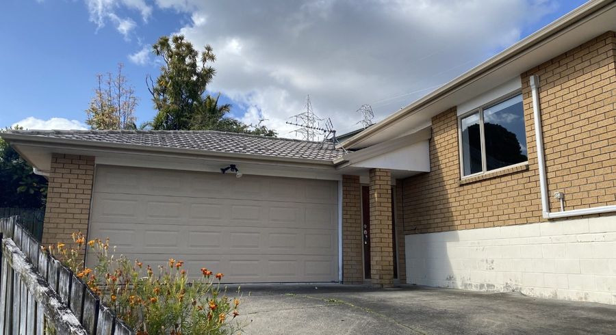  at 16 Exotic Place, Massey, Waitakere City, Auckland