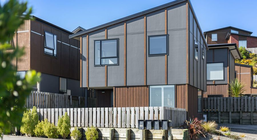  at 38 Astelia Way, Woodridge, Wellington
