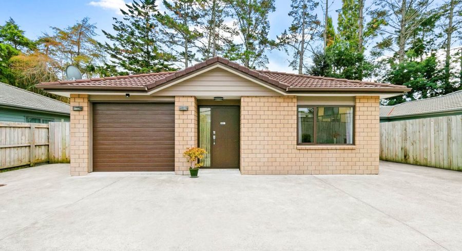  at 46C Universal Drive, Henderson, Waitakere City, Auckland