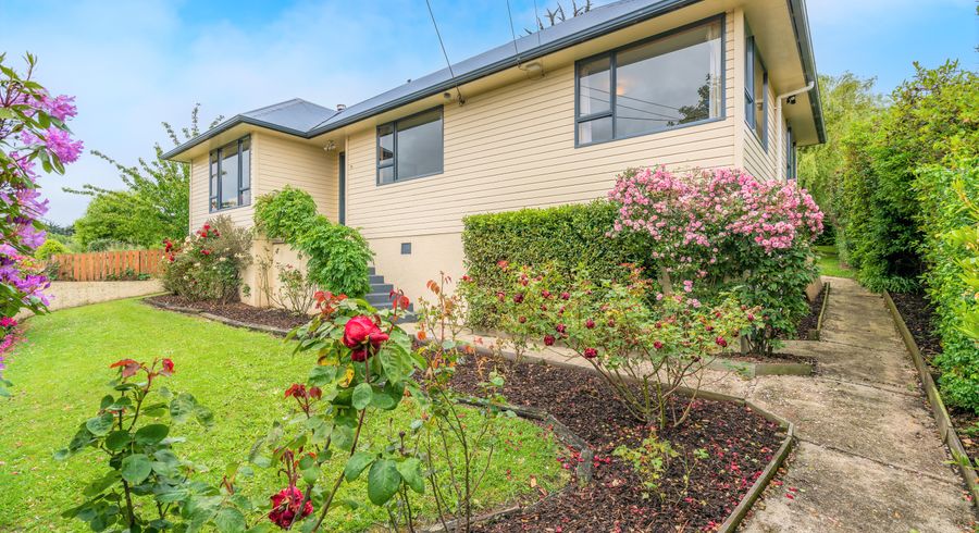  at 37 Burgess Street, Green Island, Dunedin