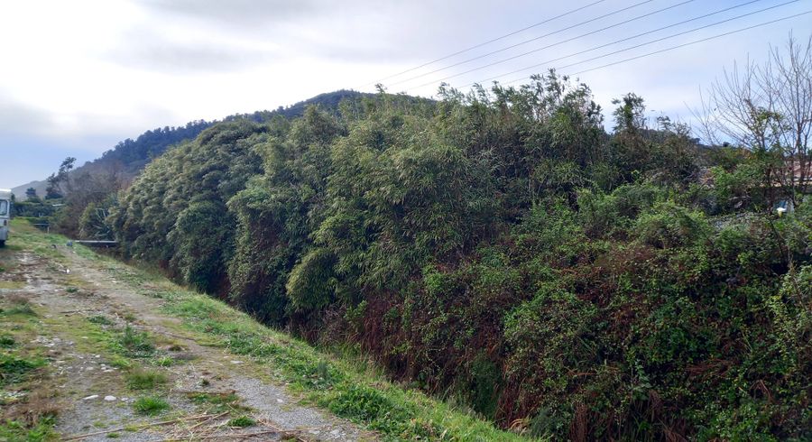  at Lot 1/0 River Road, Hector, Buller, West Coast