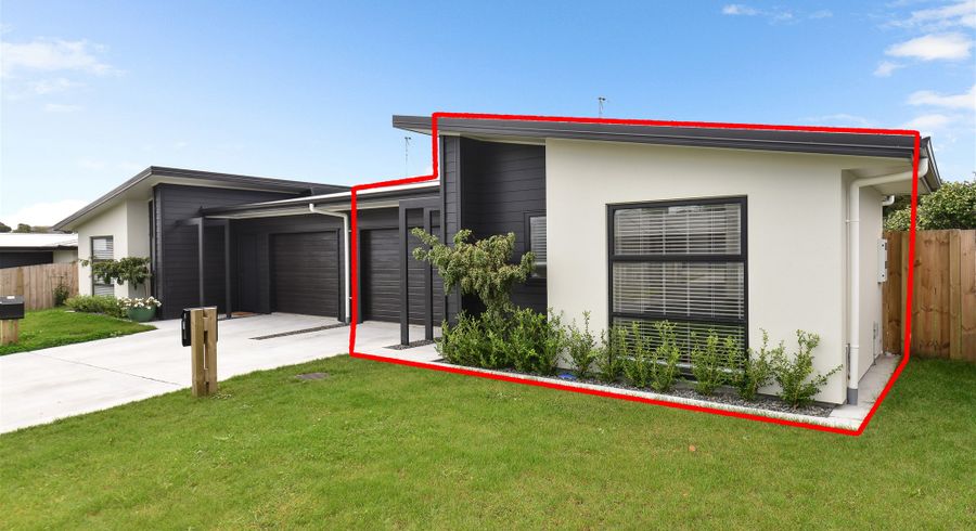  at 4/1 Murray Street, Maeroa, Hamilton