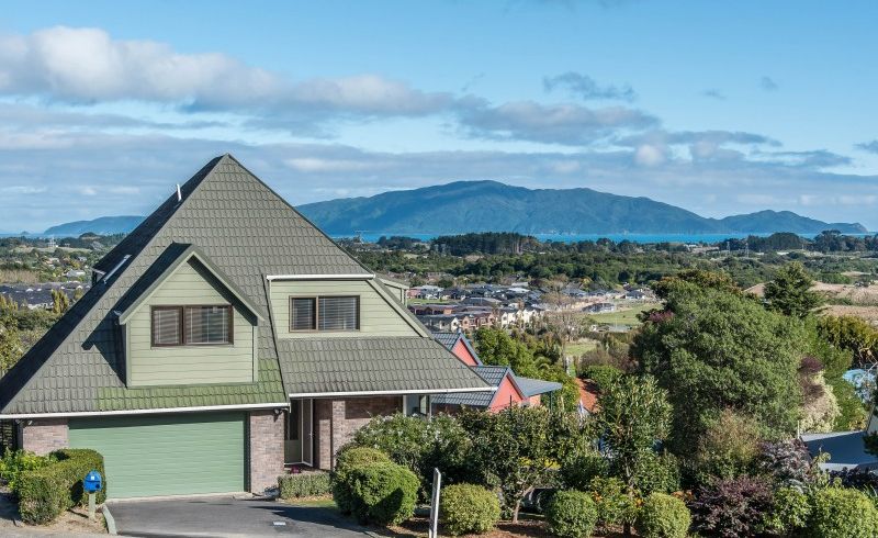  at 14 Amokura Street, Waikanae