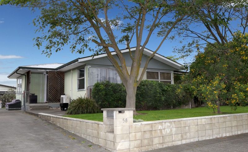  at 58 Sunderland Drive, Flaxmere, Hastings