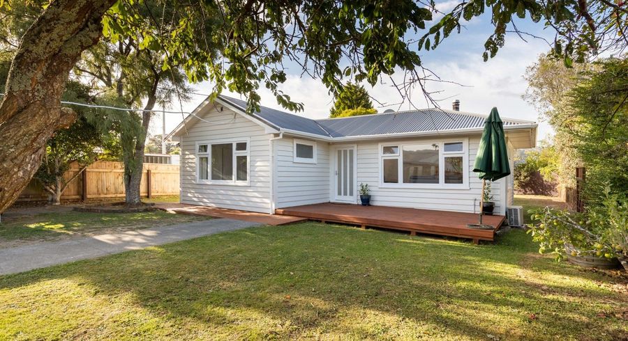  at 131 Martin Street, Wallaceville, Upper Hutt