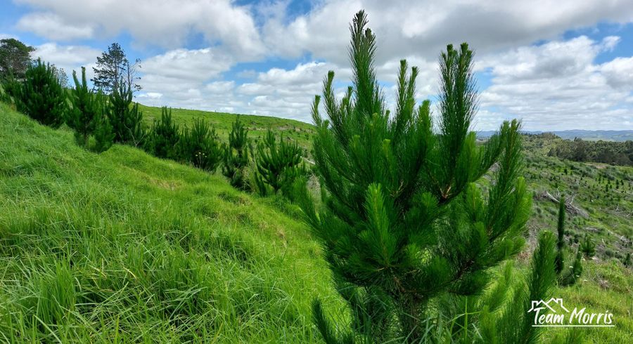  at Lot 7/49 Kamea Place, Maungaturoto, Kaipara, Northland