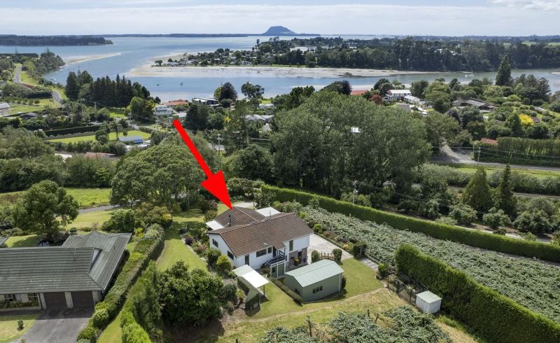  at 221 Plummers Point Road, Tauranga