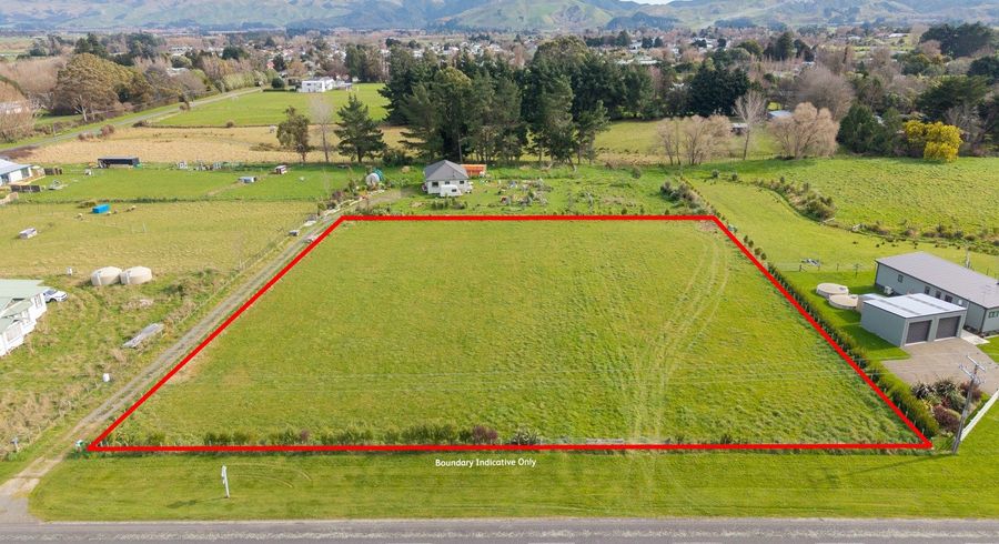  at 16 Nelson Street, Woodville, Tararua, Manawatu / Whanganui