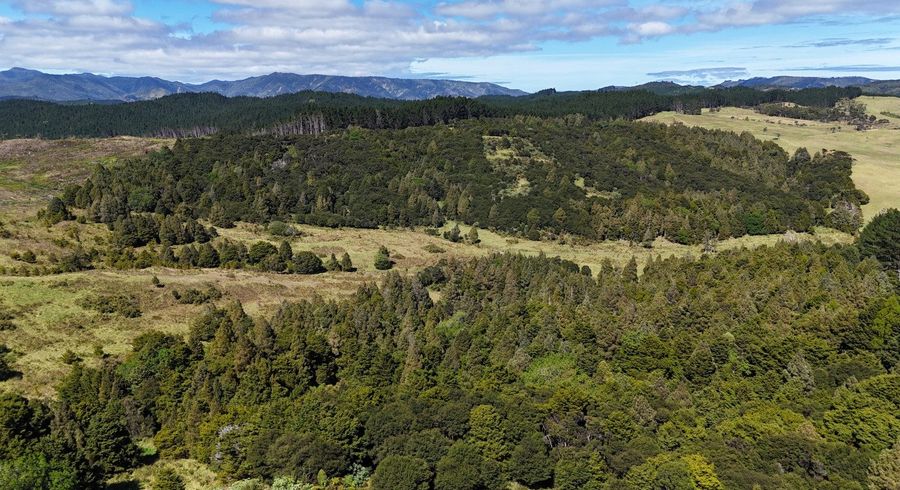  at Herekino-Broadwood Road, Herekino, Far North, Northland