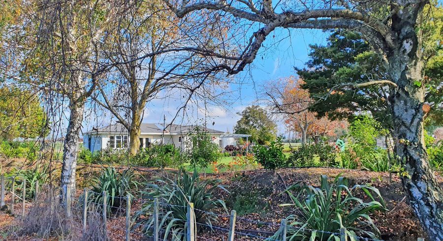  at 62 Paki Paki Road, Longlands, Hastings